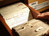Index cards