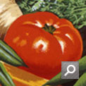 Thumbnail linking to popup window