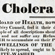 Cholera: Kill or Cure