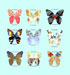 Multiple butterflies from Board of Trade registers. Catalogue reference: UNIQ 2