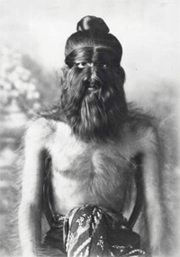 Moung-Phoset, the Burmese hairy man, 1886 - Catalogue reference: COPY 1/376