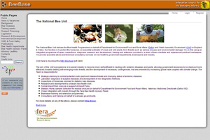 BeeBase