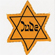 Britain and the Holocaust