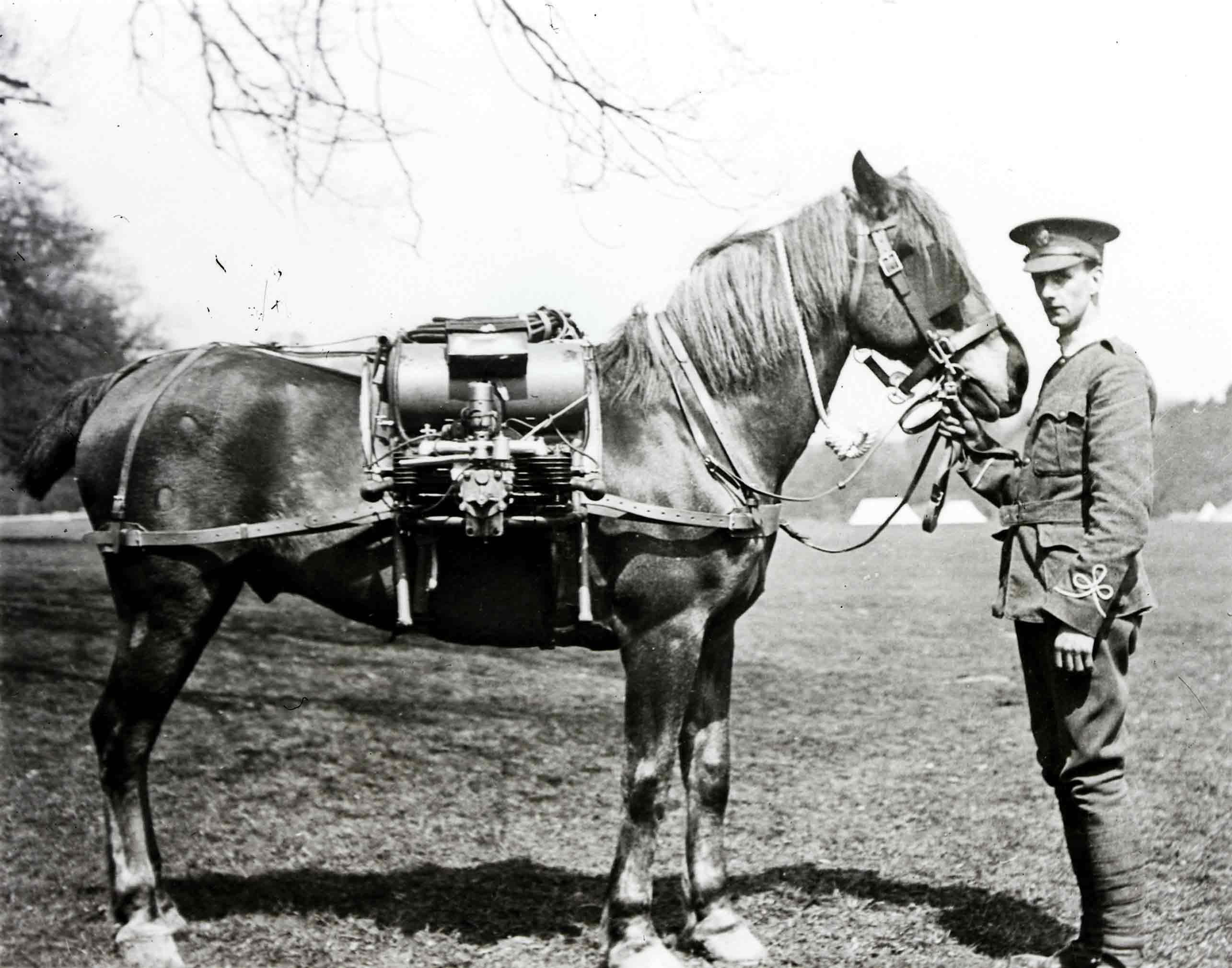 Cavalry horse wearing a field radio (BT Archives cat ref: TCB 475/YK 9)