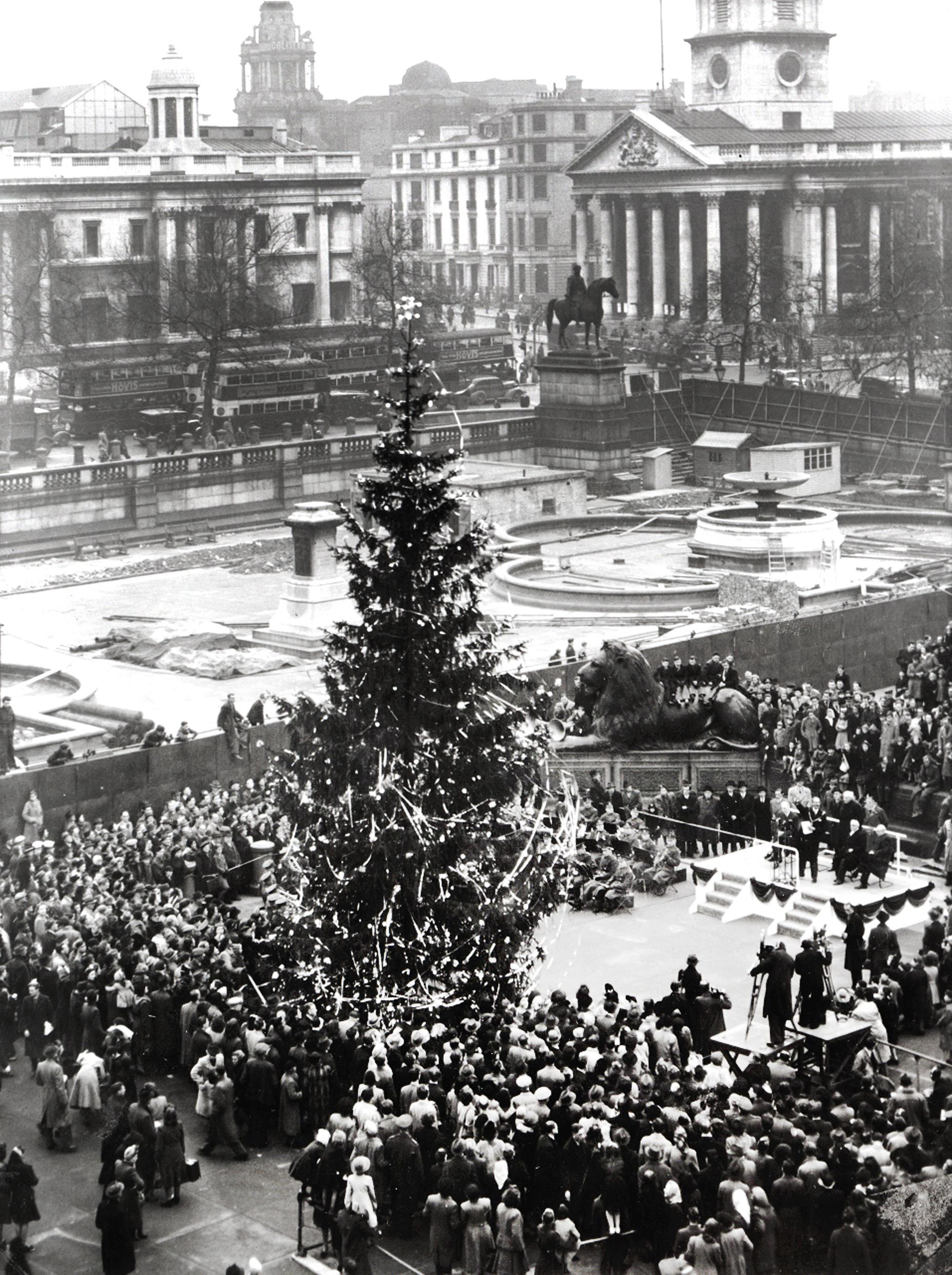 Christmas tree deals at trafalgar square