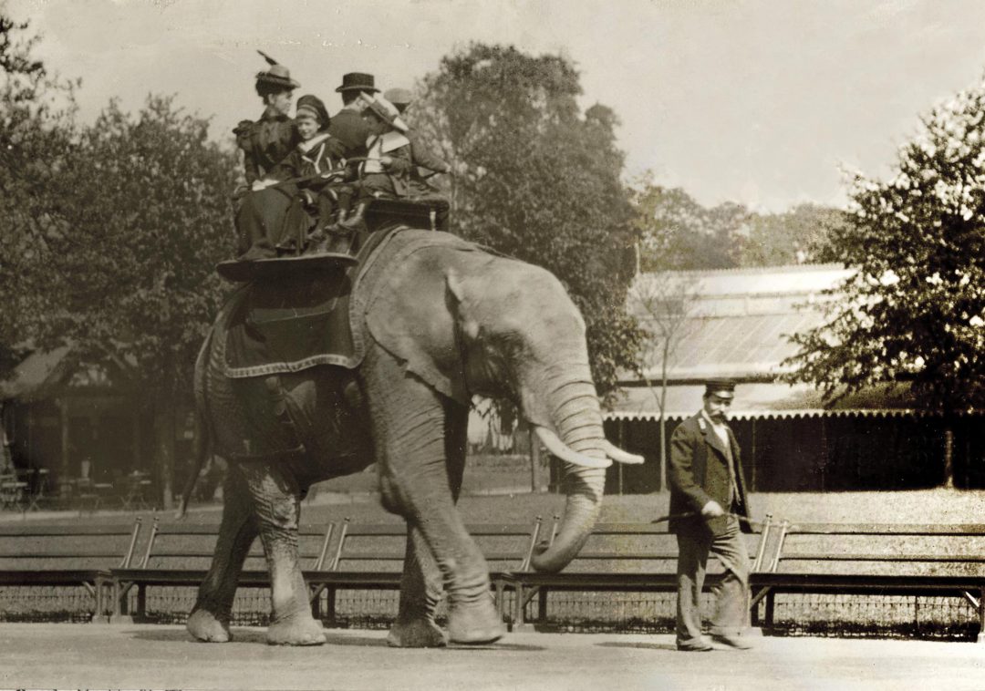 first animal at london zoo