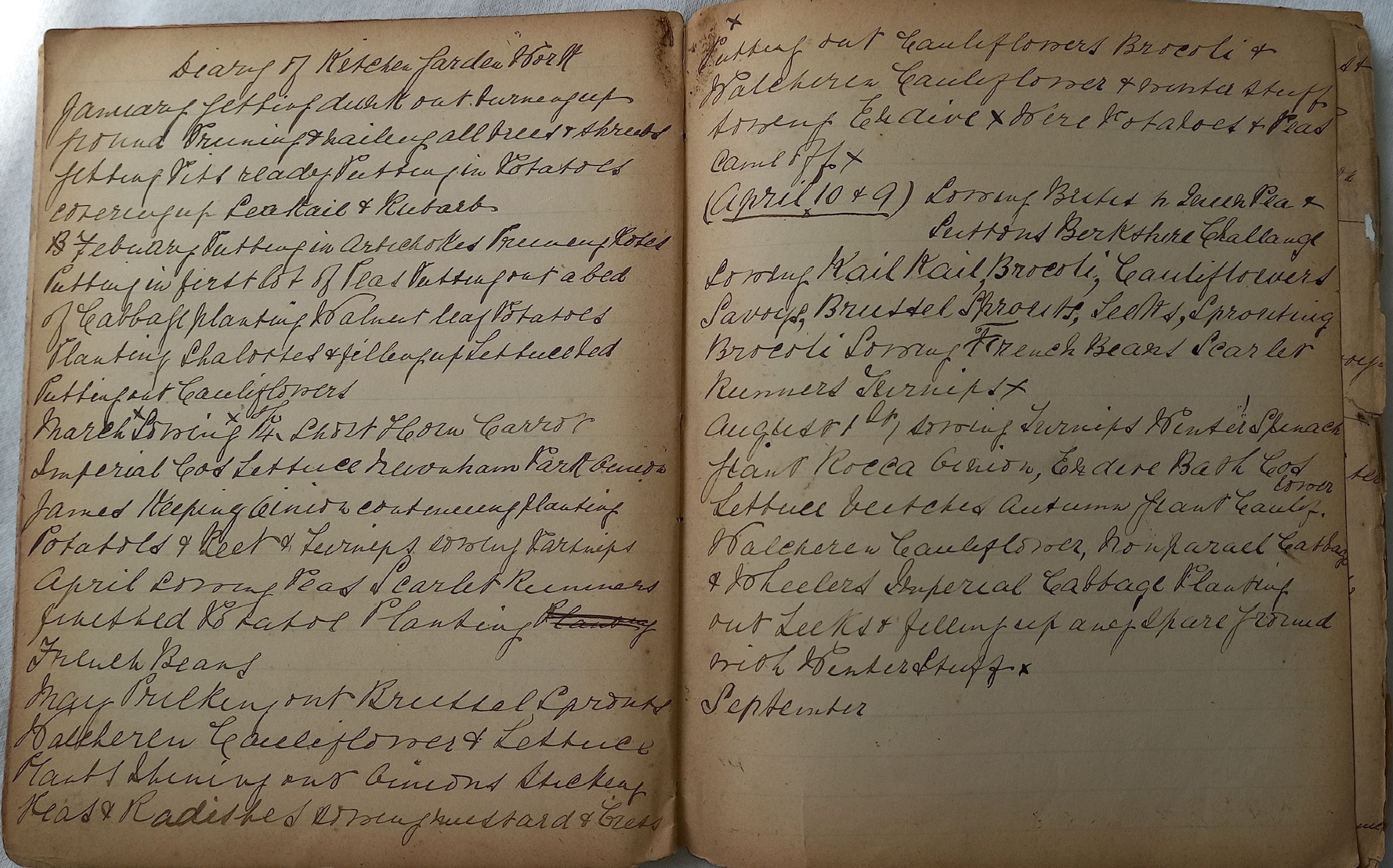 A handwritten diary entry across two pages of a book with brownish pages