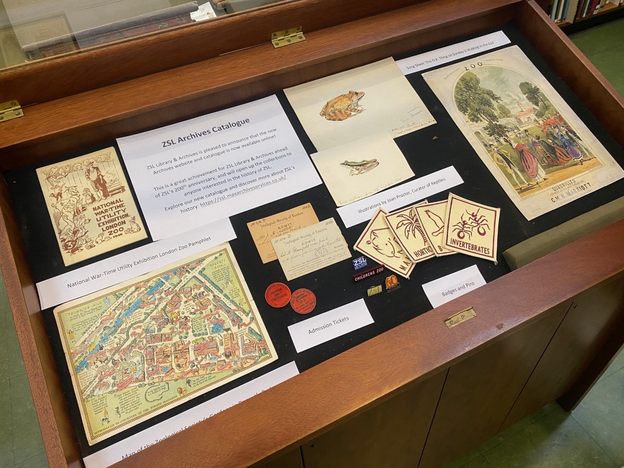 A display of leaflets, illustrations and other records