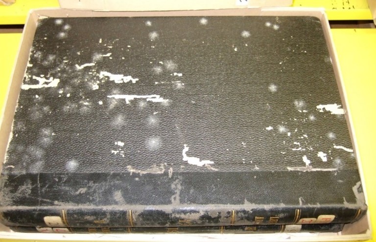 A dark blue/black hardback book, laid on its side, with several blooms of white mould visible on it.