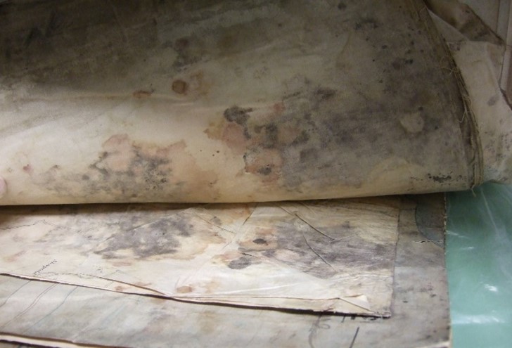 A selection of original paper records in a pile. Some have been lifted up to reveal the extent of the dark mould staining present - the stain patterns are the same on the underside of the document being lifted, and the topside of the document directly beneath it.