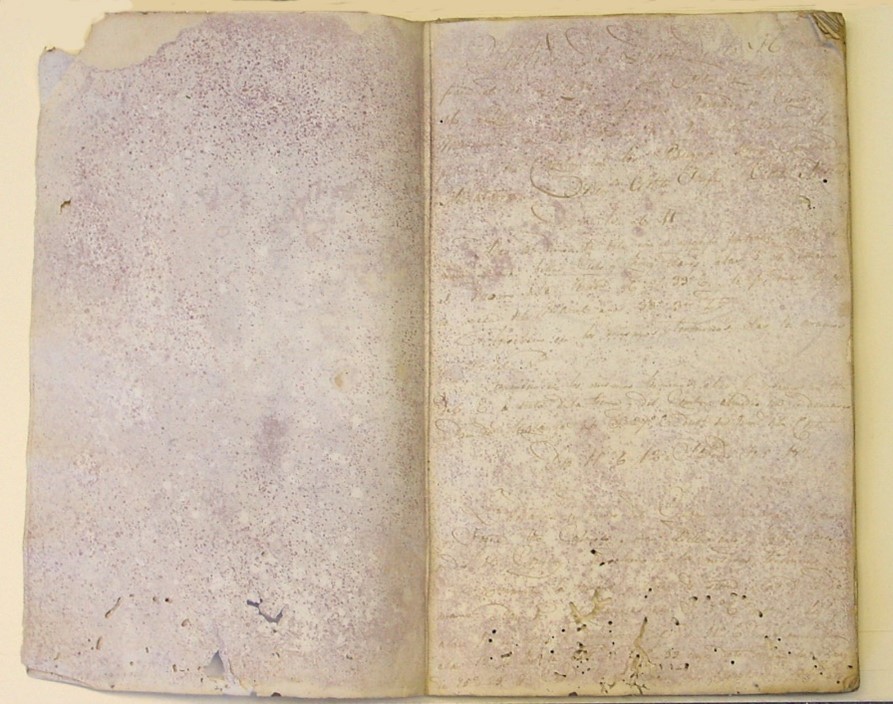 An aged manuscript book, opened to reveal severe discolouration and mould staining.
