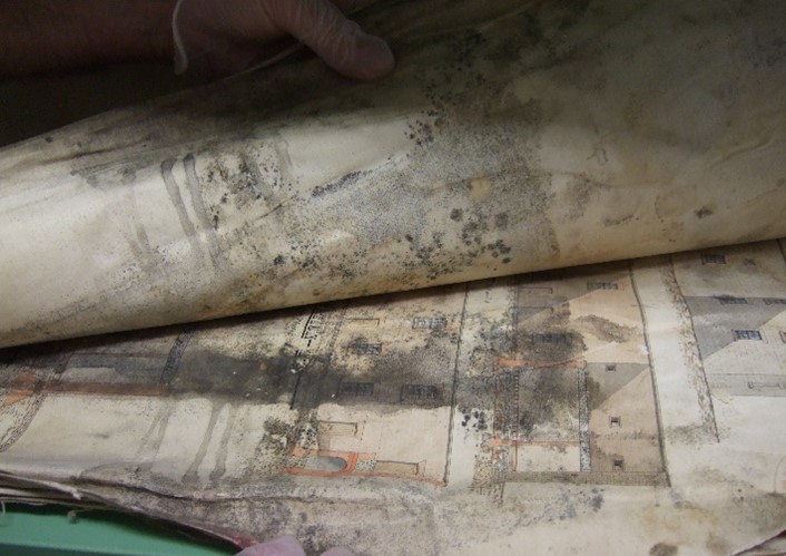 Close-up of original planning papers, with a hand at the top of the image lifting part of the pile to reveal significant black mould staining.