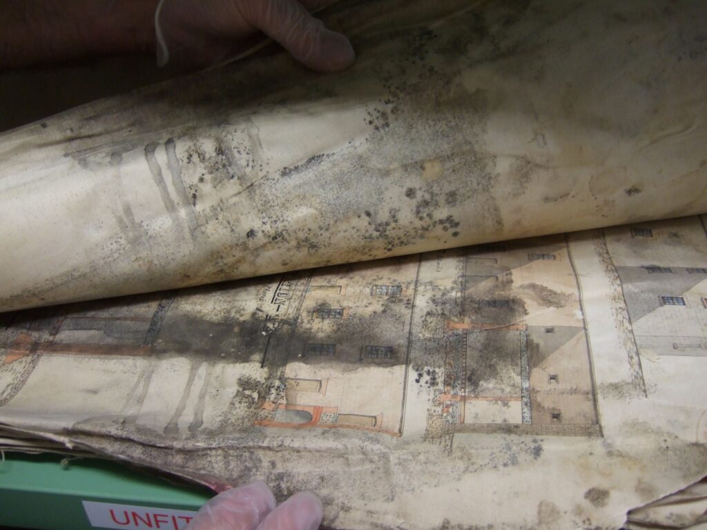 Close-up of original planning papers, with a hand at the top of the image lifting part of the pile to reveal significant black mould staining.